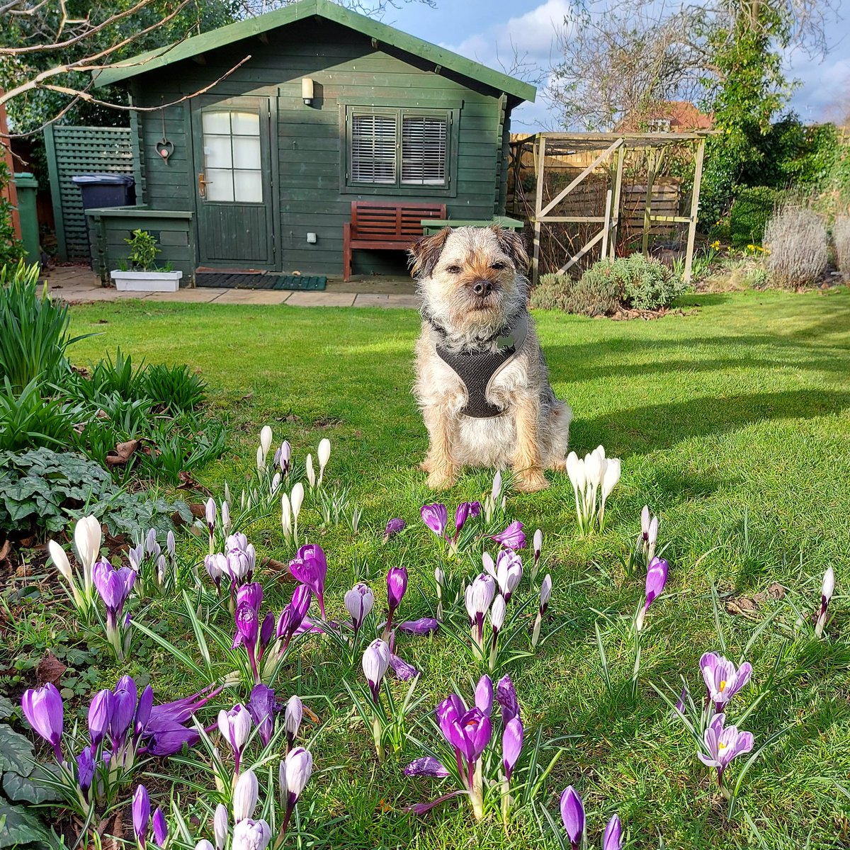 BarneyBooBT's tweet image. Mum took this when you sun came out, briefly, today 🌞 

#BTPosse