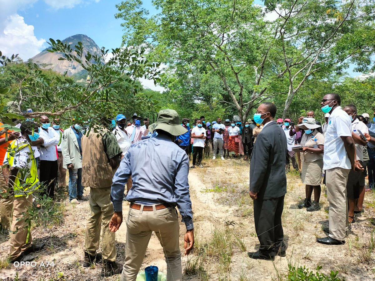 jongiswoods's tweet photo. #Africaenvironmentcommemorationday @mapembenaturereserve https://t.co/uMZ6Ibnbz2