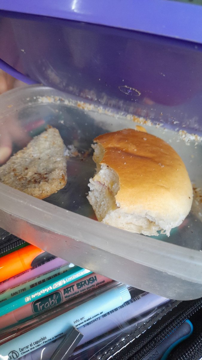 mile_nials's tweet photo. Una milanesa y un sanguche, comidas del colegio técnico https://t.co/gdtKUI7SGm