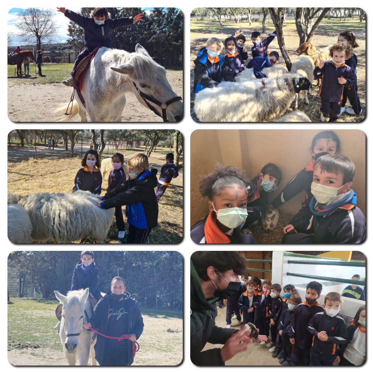 nazaretoporto's tweet photo. Estas caritas lo dicen todo!!!! Los  alumnos de #1Ep visitan la #Granja, disfrutan de la naturaleza y descubren cómo cuidar de los animales! #MOMENTUM natura!! https://t.co/X3tU4w7zoP