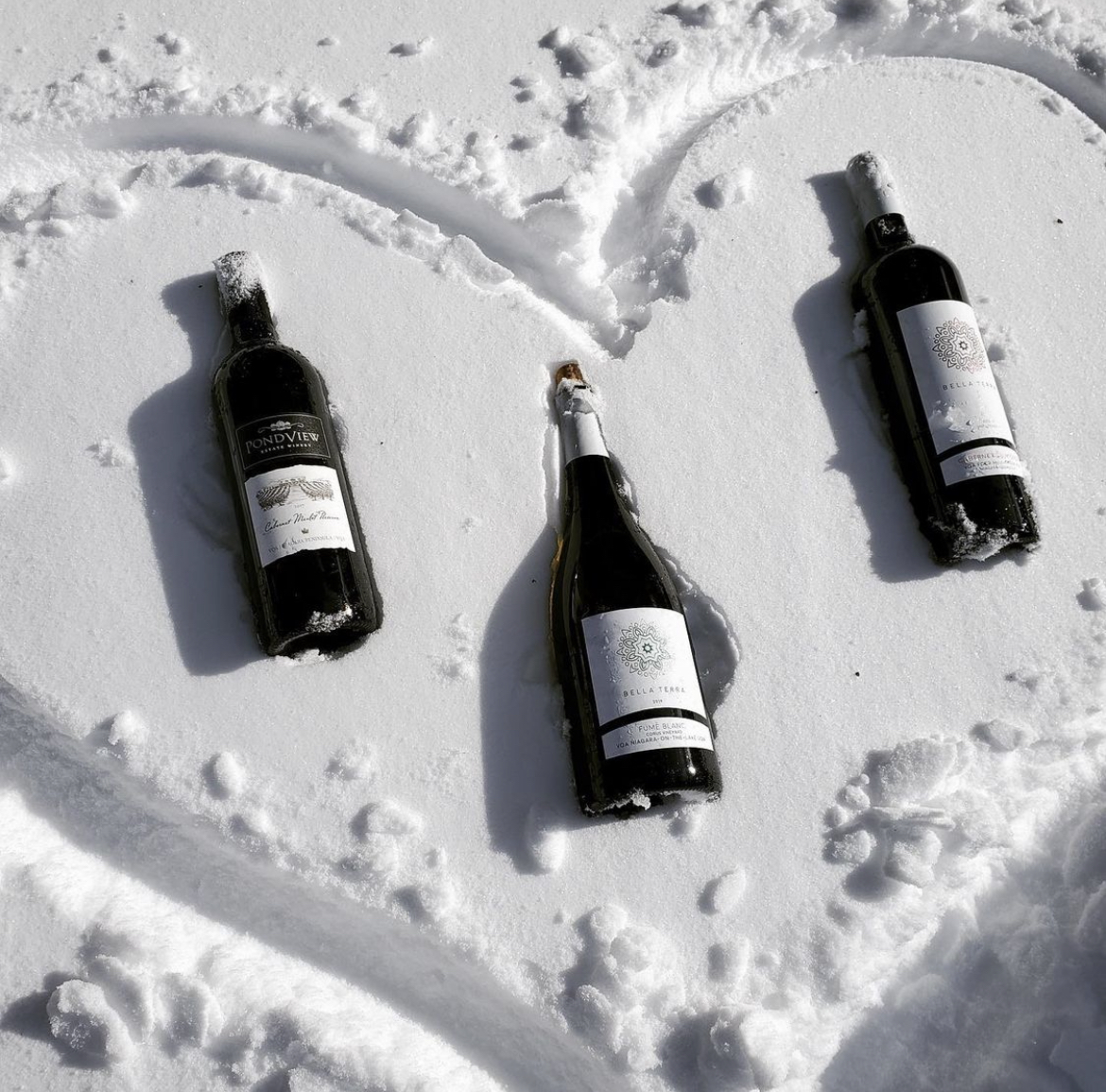 Snow - Natures wine fridge❄️🍷 
Thank you to @savvycompanyinc for this great picture! Make sure to tag us in all of your Bella Terra #wine pictures for the chance to be featured on our social media!🥂