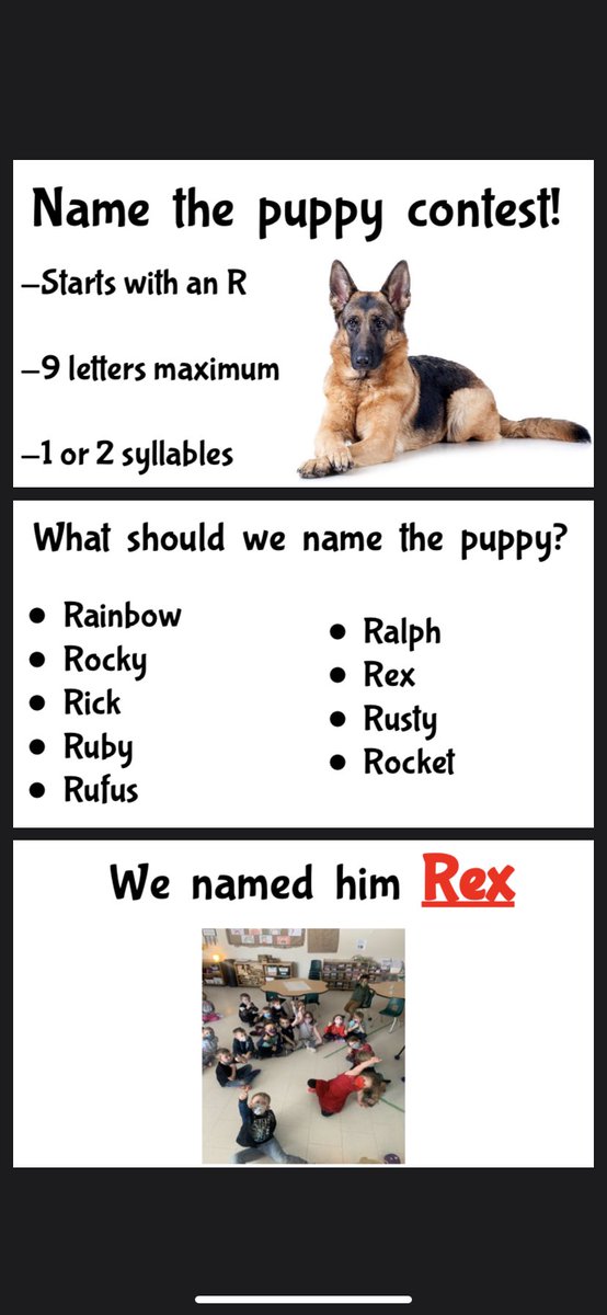 Thanks <a href="/rcmpgrcpolice/">RCMP</a> for letting us submit an entry for the “Name The Puppy” contest. My kinder kiddos from <a href="/ParkviewPS/">Parkview PS</a> hope you pick our name for your new police pup! 🦮 #StaySafe