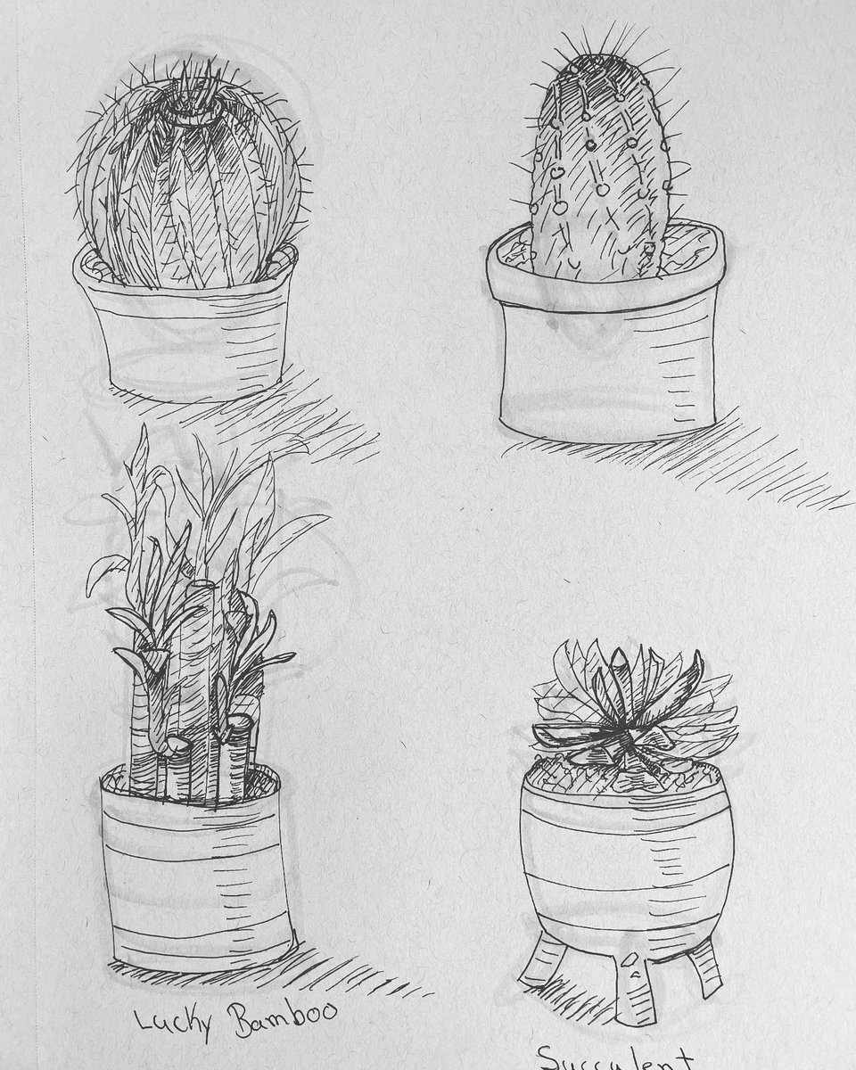 Ink plants sketches #art #arte #sketch #ink #drawing #draw #inkdrawing #dibujo #pendrawing #plants #botany #plantsart #botanyart #penart