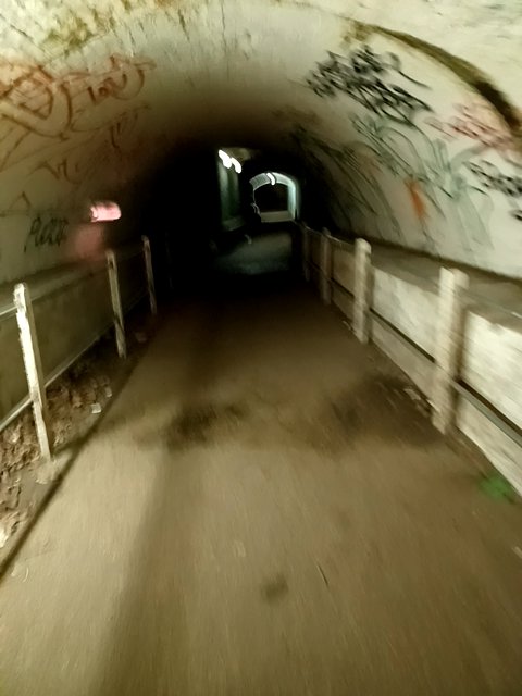 LileaMarius's tweet photo. Adiadi9913 found #bitcoin in a User vault at this location! Join me playing #coinhuntworld, It's awesome! https://t.co/2DSSD1fQsf #cryptocurrency #106668 https://t.co/URAWSGrG6s