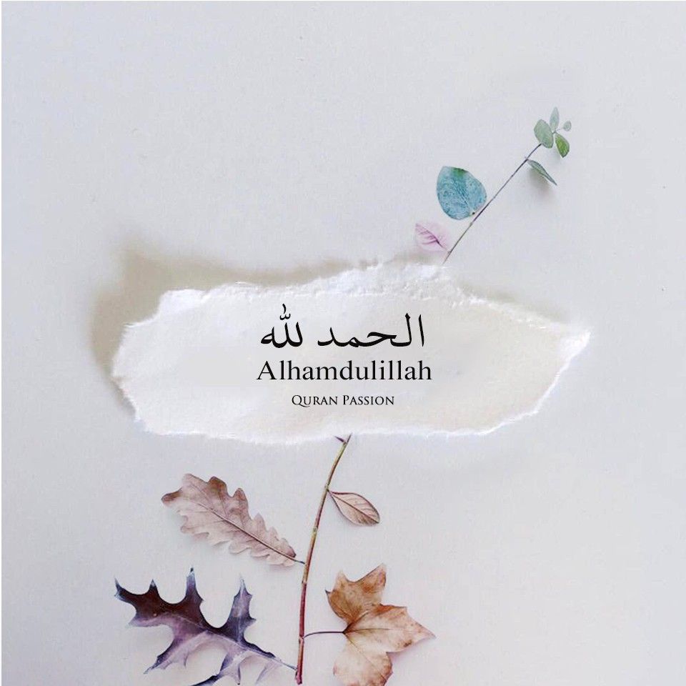 MAlzaabia's tweet photo. الحمدلله على وجود الناس اللطيفة في حياتنا اللي همهم يشوفونك بخير وان غبت عنهم فقدوك واذا قصرت عذروك 
فعلا فيه ناس ملائكة على هيئة بشر❤️ https://t.co/dfYjfycKYu