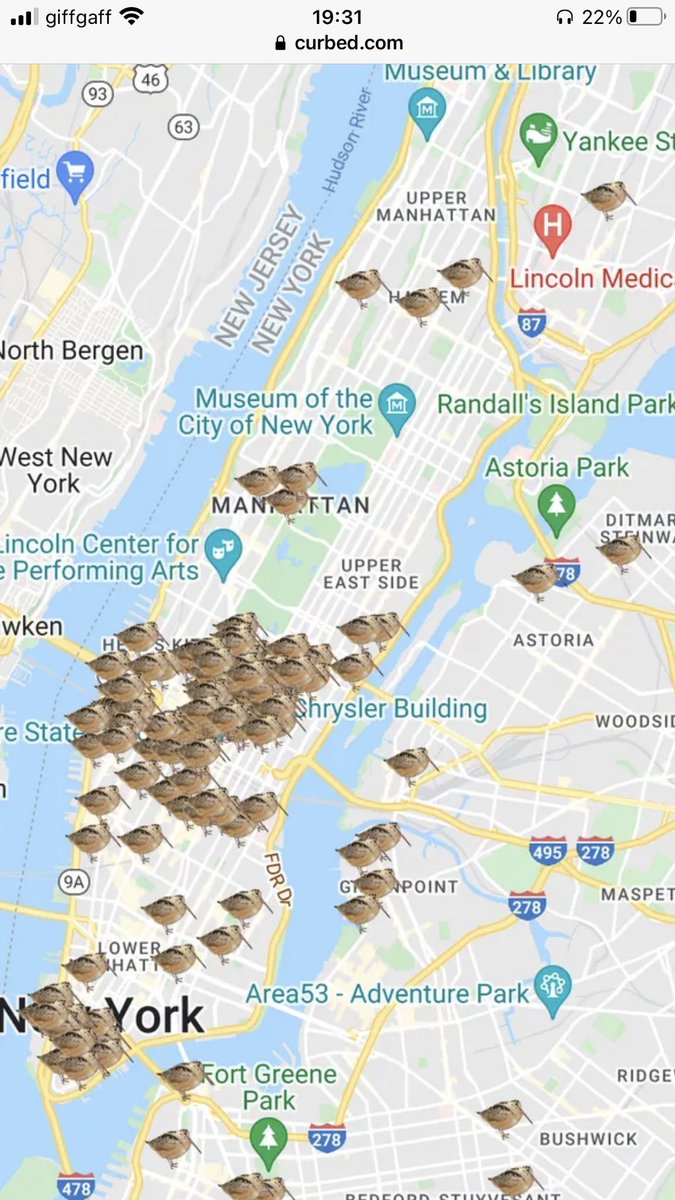 Jamiejhagen's tweet photo. @GabrielWillow Wait who made this map with all the timberdoodles? 😂 I love it! Is this a search feature or did someone graphic design this? @wildbirdfund https://t.co/84GG0kx4tn