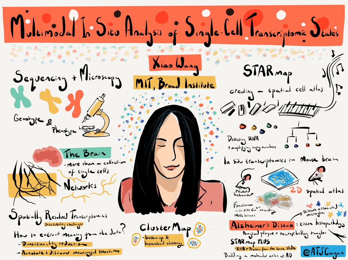 Xiao Wang on multimodal in situ analysis of single cell transcripts if states from the same tissue section #singlecellgenomicsday