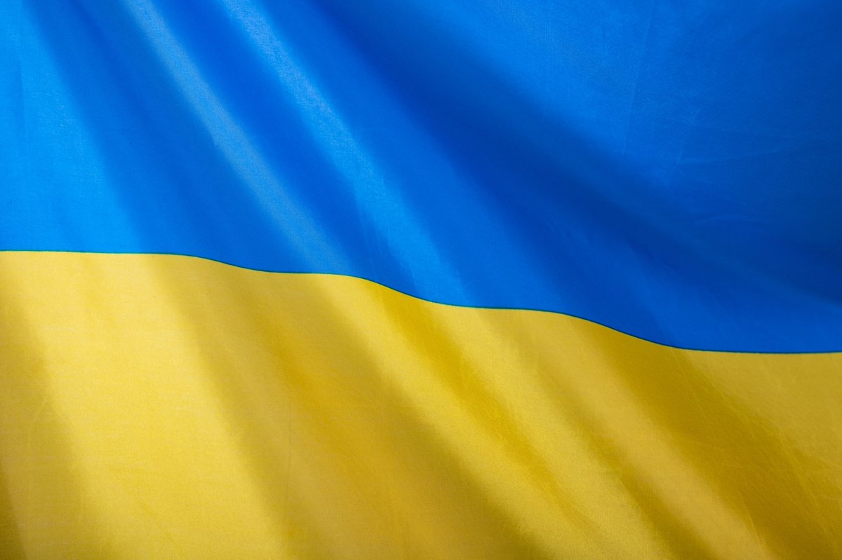 We Are (Family Found)ation tweet media