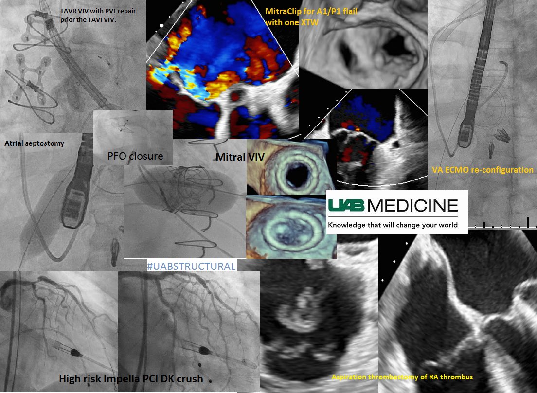 Hassan Alkhawam tweet media