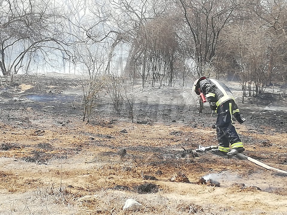 radiouno_pe's tweet photo. 🔴 #LaborCumplida│Bomberos lograron controlar incendio de grandes proporciones desatado en chacra de Leguía, inmediaciones del Fundo Chololo, detrás del hotel El Tablón.
📰Más información aquí ► https://t.co/efFArYRSJB #Tacna https://t.co/KK0KAluRkd