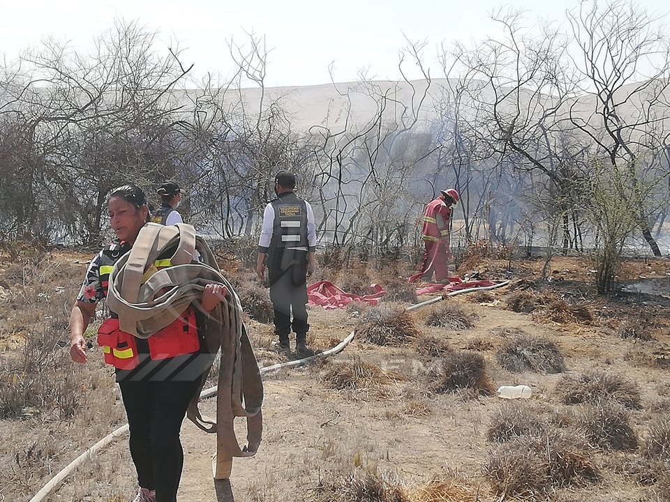radiouno_pe's tweet photo. 🔴 #LaborCumplida│Bomberos lograron controlar incendio de grandes proporciones desatado en chacra de Leguía, inmediaciones del Fundo Chololo, detrás del hotel El Tablón.
📰Más información aquí ► https://t.co/efFArYRSJB #Tacna https://t.co/KK0KAluRkd