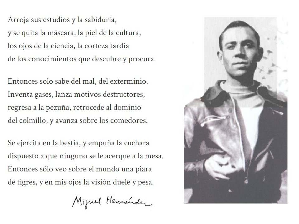 Doctor_Bacteria's tweet photo. Arroja sus estudios y la sabiduría,
y se quita la máscara, la piel de la cultura,
los ojos de la ciencia, la corteza tardía
de los conocimientos que descubre y procura.
 
Entonces solo sabe del mal, del exterminio...

#MiguelHernández https://t.co/i9Omtzk30P