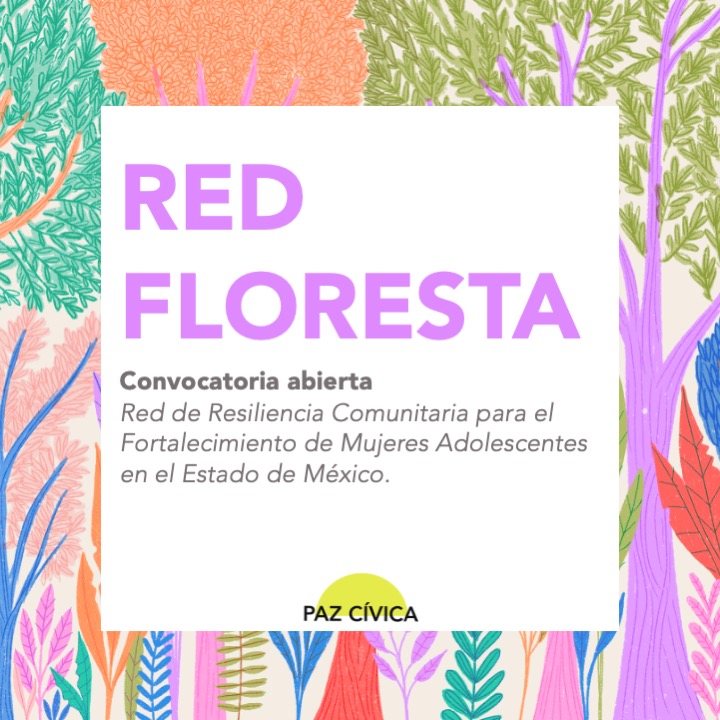 Paz Cívica tweet media