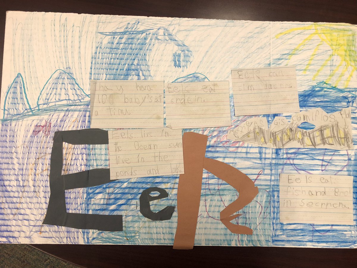 These first graders are WOWing me with their individual research projects 🤩 It was a labor of love and we now have some animal experts in our midst! 👏🏻🐊🐆🐇 #readthinkwrite #everychildreads #firstgradefun <a href="/HumbleISD_ESE/">Eagle Springs Elem</a> #ESEsoar