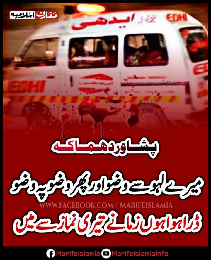 _Qasim_Kehar's tweet photo. We strongly condemned shia genocide in Pakistan. Stop genocide of different communities and nations.
#PeshawarBleeds
#Peshawarexplosion https://t.co/1xL5rbQwwK