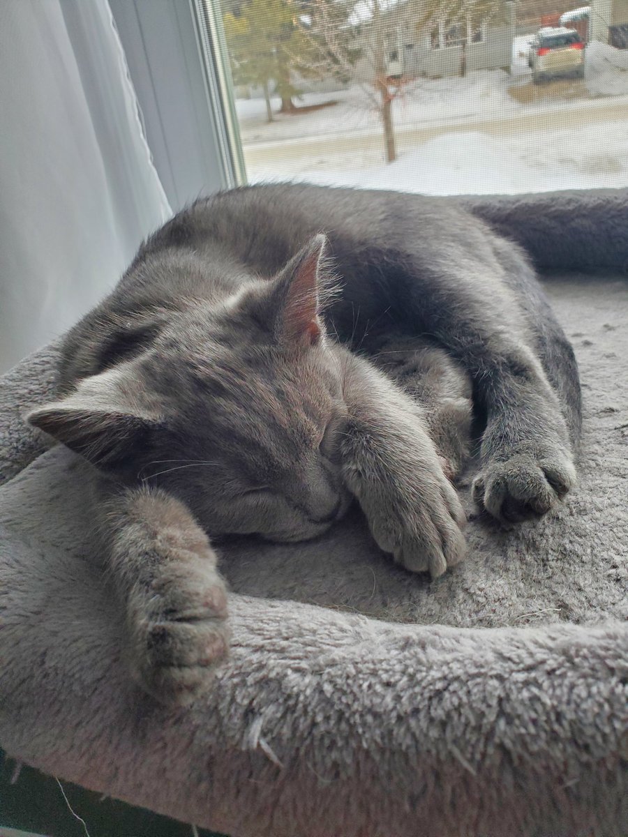 Ridercole tweet media