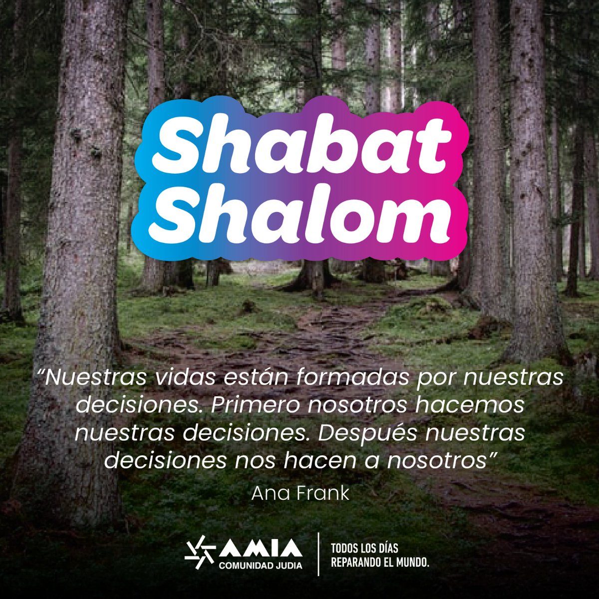 Este shabat, encendamos las velas para llevar luz al mundo y elevar una plegaria por la paz. Shabat Shalom!