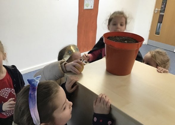 ambrose_primary's tweet photo. Ethan came to school as Jack for World Book Day and during assembly he planted a magic bean. We were all amazed at how quickly the beanstalk grew throughout the day. #traditionaltale #welovereading #jackandthebeanstalk #worldbookday2022 #wonderandawe https://t.co/5SMevMl7Ra