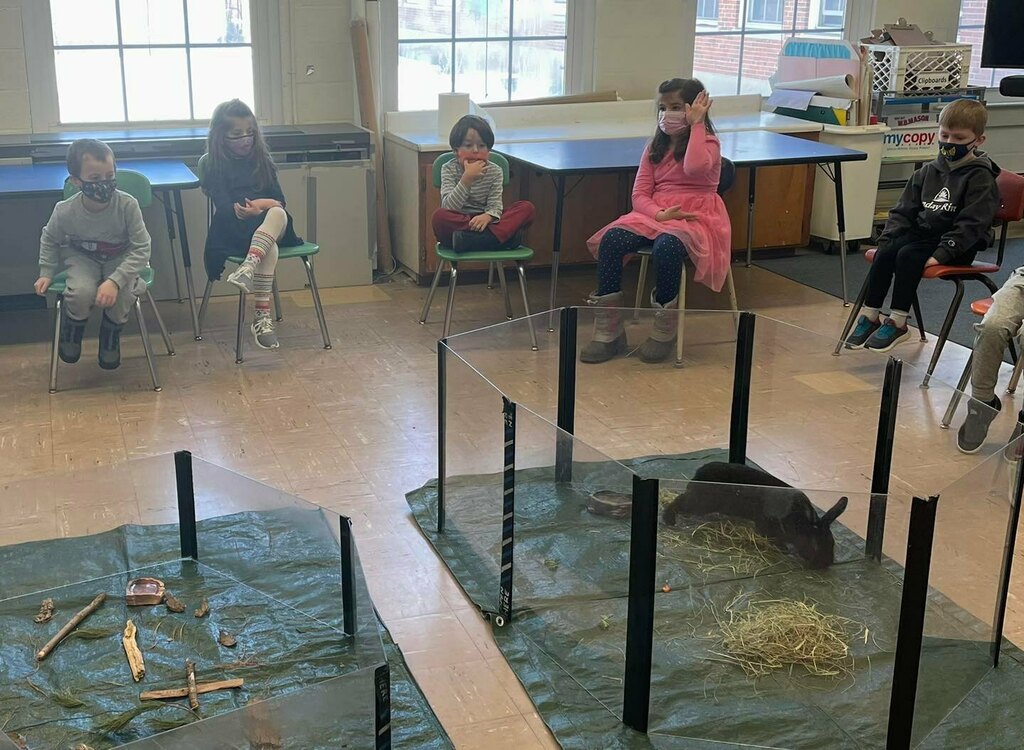 Yesterday Drumlin Farms visited kindergarten. They brought a turtle and a rabbit. We learned about animal habitats and adaptations.