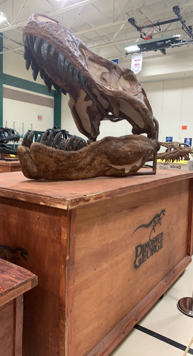 SSanchezMISD's tweet photo. Dino George was so fun at the Press yesterday! Thank you #PressPTA for organizing the event for students!! #PressPride 🦕🦖 https://t.co/myN1HPMeUn