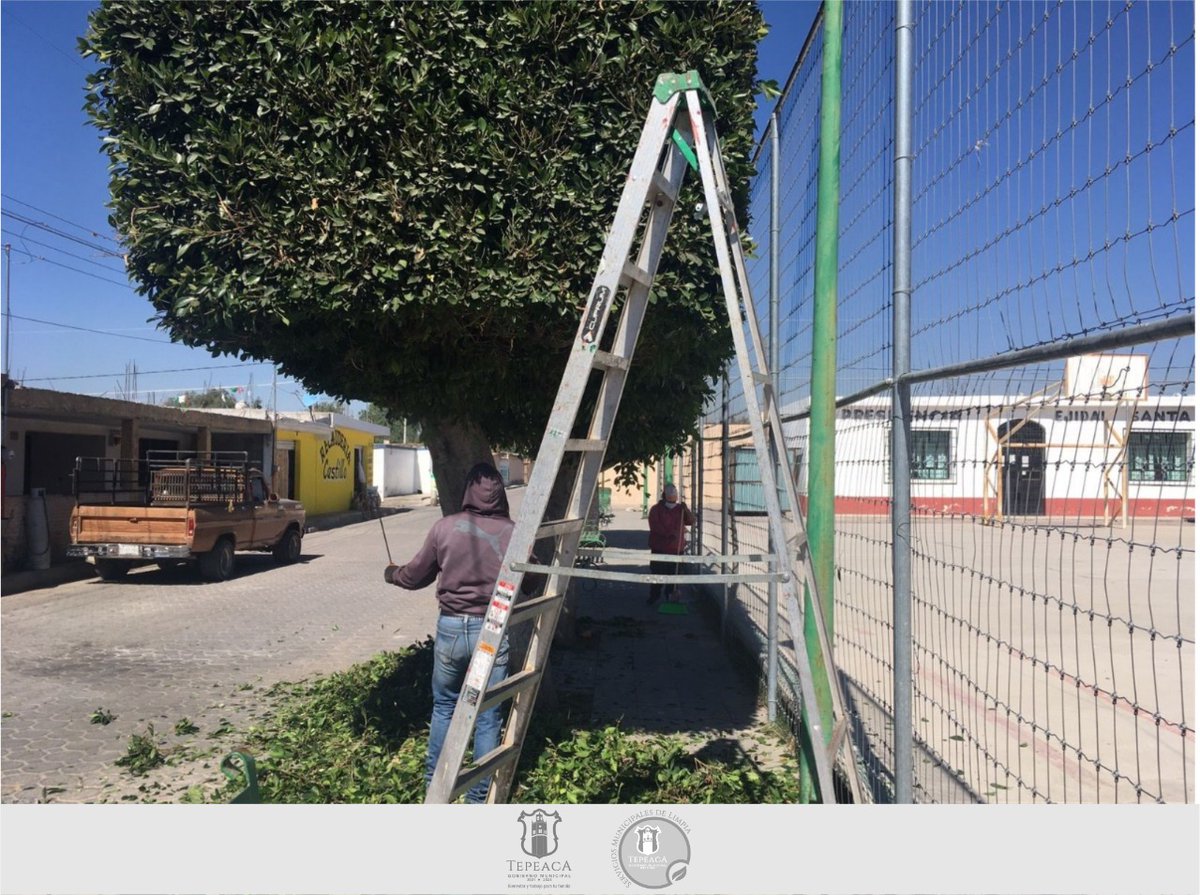 SMyPCTepeaca's tweet photo. #Informamos l Buscando favorecer temas de salud para los ciudadanos, se realizó jornada de poda, barrido y limpieza en Santa María Oxtotipan; contribuyendo también a preservar en buenas condiciones las áreas del municipio y comunidades. https://t.co/jbH97RgcO6