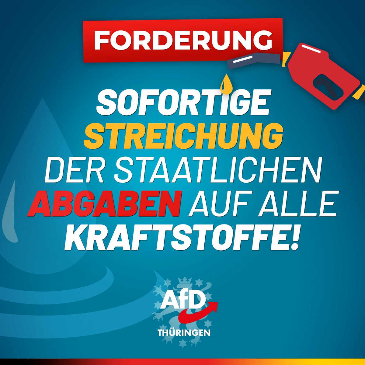 AfD_Thueringen's tweet photo. https://t.co/hc5u7kHHp2