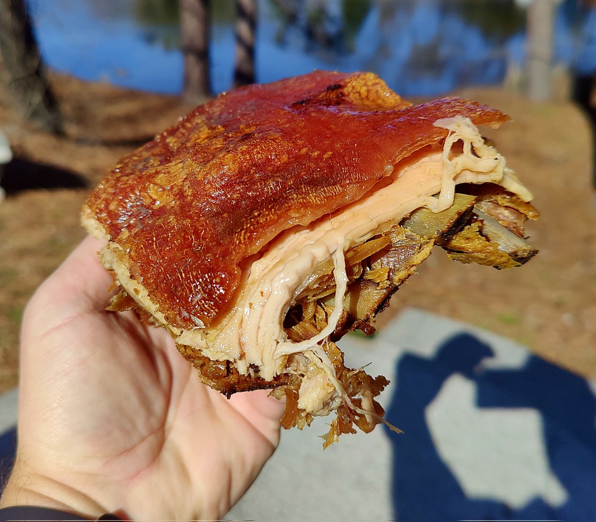 We found our favorite cut of whole hog.
The "rib cut" at Hite's BBQ. Cut from the middle of the hog with ribs, middlins, and the crispy skin all in one glorious cut.