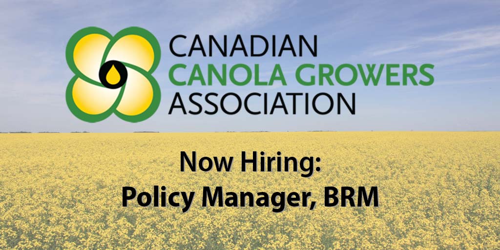 ccga_ca's tweet photo. Join CCGA’s Policy team – now hiring for the position of Manager, Business Risk Management. Read more and apply here by March 21: https://t.co/p3qCKb13gU #cdnag #cdnpoli https://t.co/KQoTqLcRs2