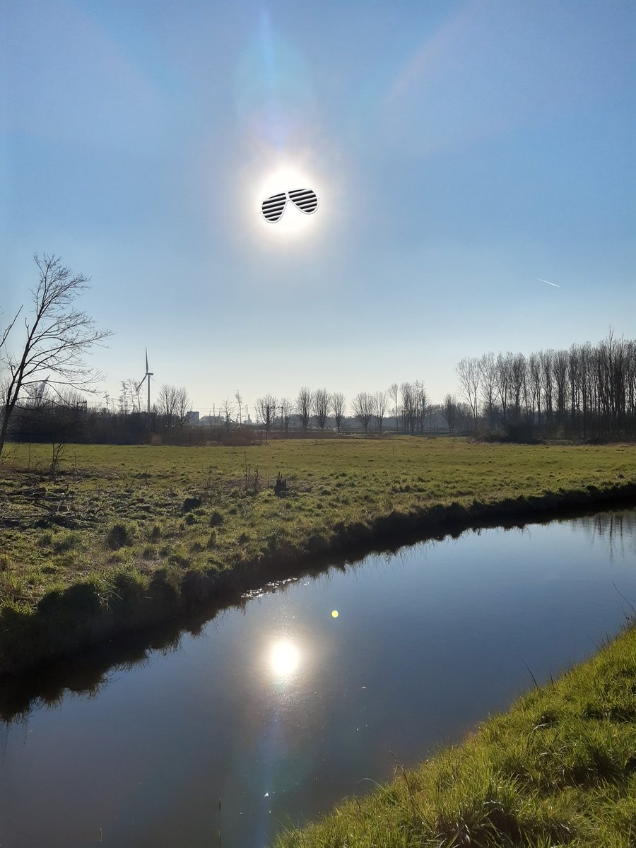 Geniet van de kleine dingen in het leven. ☀️ #zon  #nature #sport