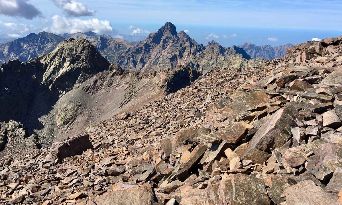 Stéphanie Ayrault tweet media