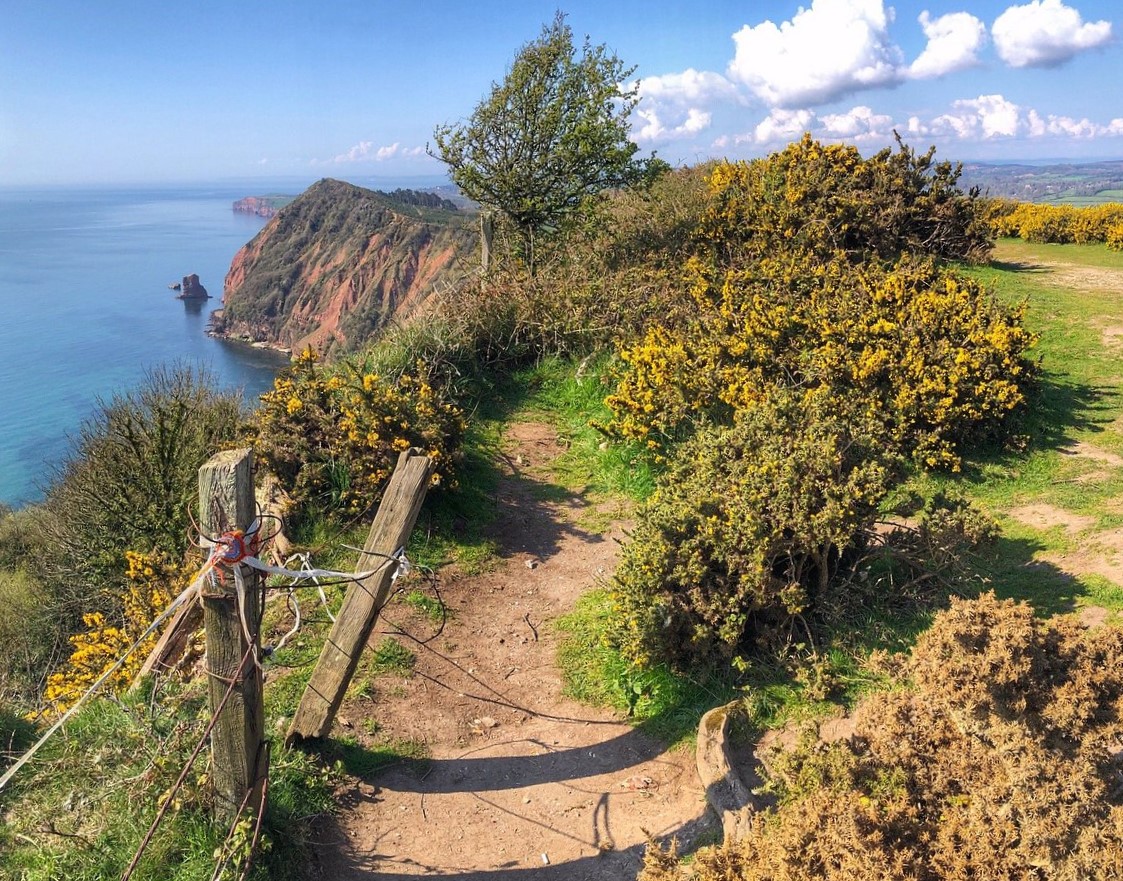 We're getting #midweekmotivation thanks to this stunning snap shared by James Lumley in 2021. Come rain or shine, a #JurassicCoast stroll always provides both adventure & clarity for the mind. Outstanding views; clear waters, rolling fields & brilliant blue skies = pure bliss!