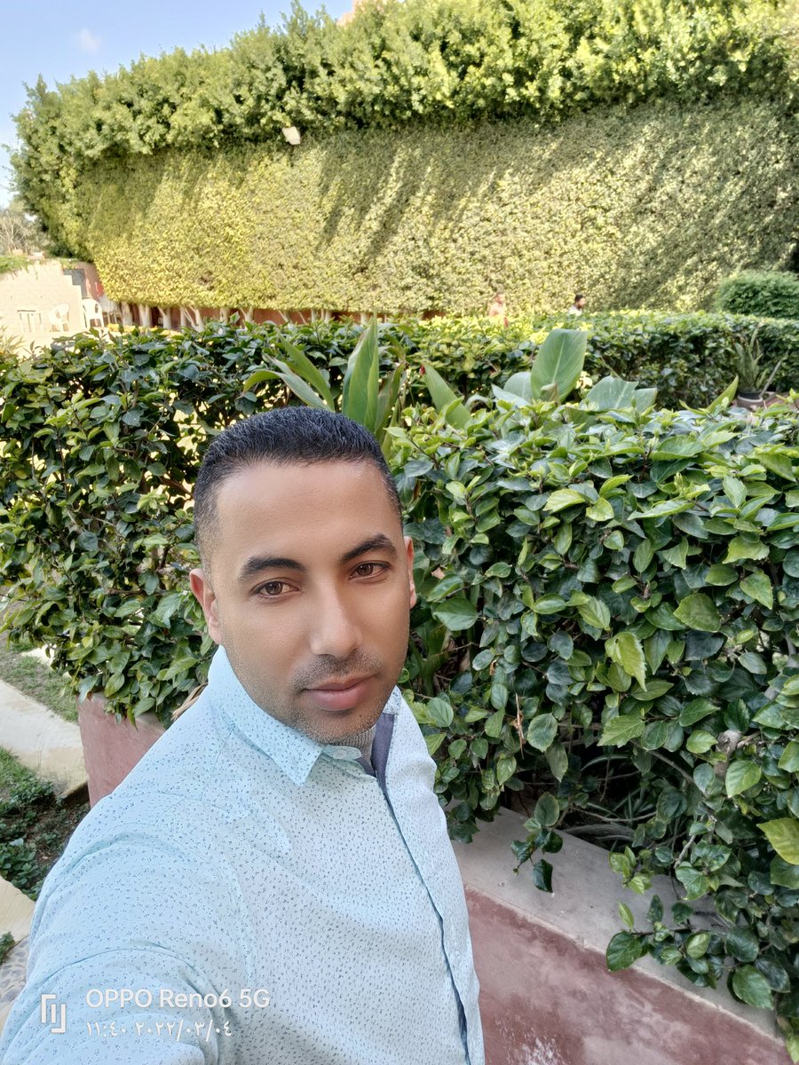 سلامه رمضان (@66910n0eggcnxtm) on Twitter photo 