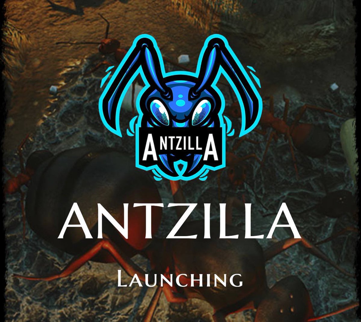 AntZilla tweet media