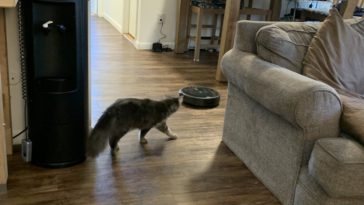TheGraybies tweet picture