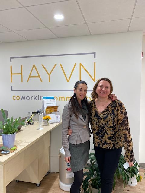 HAYVN Coworking tweet media