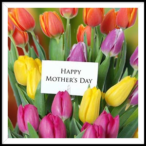 Mother's Day Vouchers and How the Menopause effects our Soft Tissues! - mailchi.mp/cd71816fbcf5/m…
