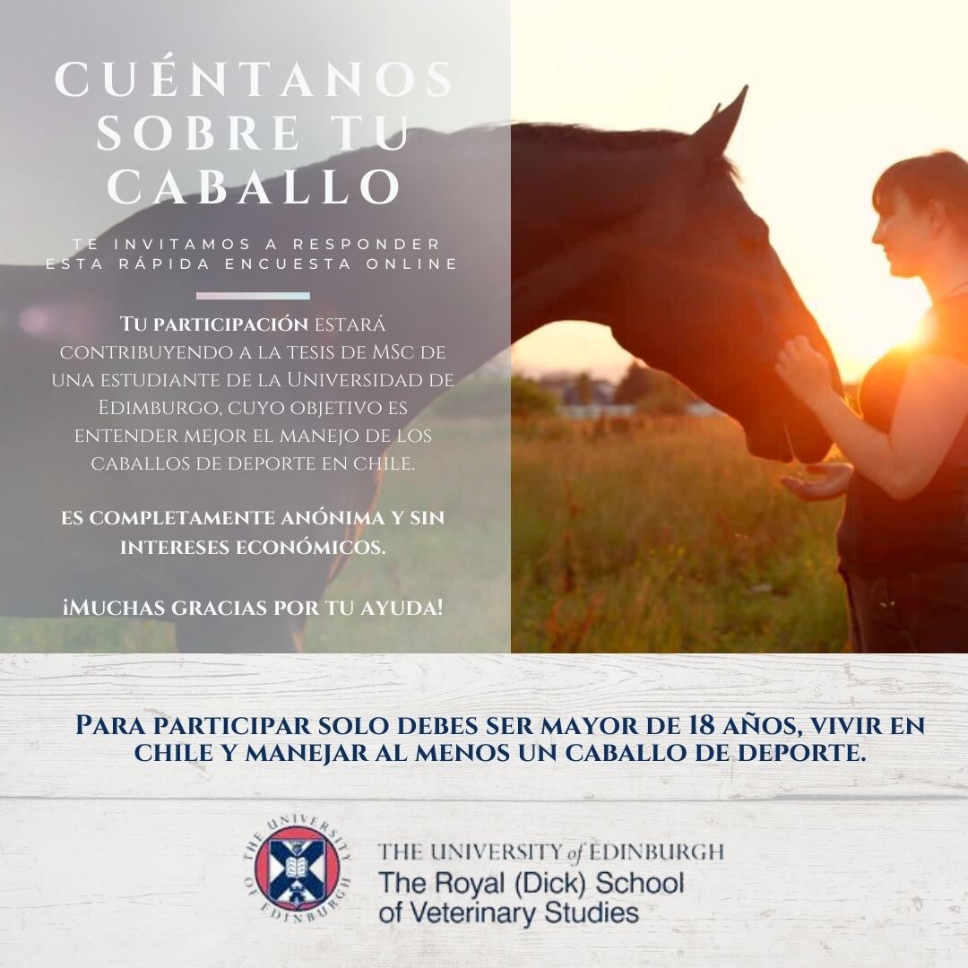 tamara_tadich's tweet photo. A las y los que tengan #equinos de deporte en Chile les pido por favor si pueden contestar una breve encuesta sobre el manejo de sus #caballos Acá el link: https://t.co/NlUaAPSnIt https://t.co/xpc3bs6eFV