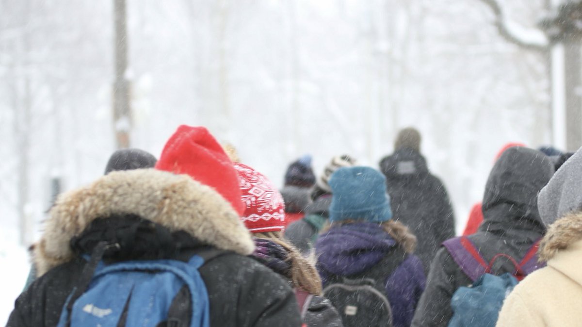 981CHFI's tweet image. Spring is fast approaching, it’s a great time to get outdoors! CHFI has rounded up a list of activities to help you take advantage of the weather warming up, like guided hikes, skating, &amp;amp; more:  chfi.com/2022/03/03/5-t… #Toronto #TorontoThingsToDo