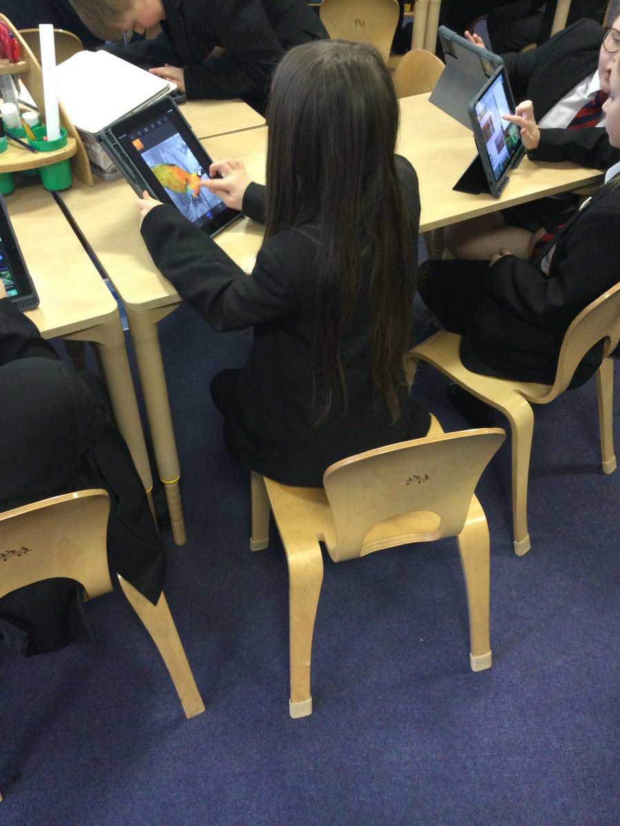 Y5SR tweet media
