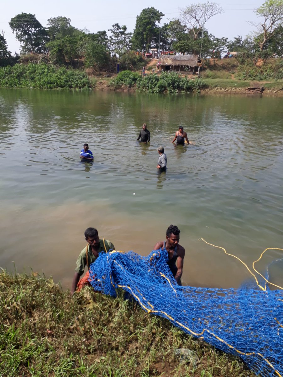 big fish hunting by net from bugdhani Nets Big Fish Hunting By Net