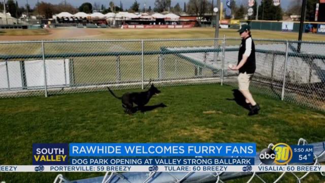 MaddyEvansWX's tweet photo. Some of the best news I’ve heard all year!!!

@VisaliaRawhide and @CASvcDogAcademy teamed up and built a dog park over looking the ball field!!!

I can guarantee this boy will be going to all the home games 😍 
#DogsAndBaseball #Visalia #SouthValley https://t.co/h3Bdpl7iNu