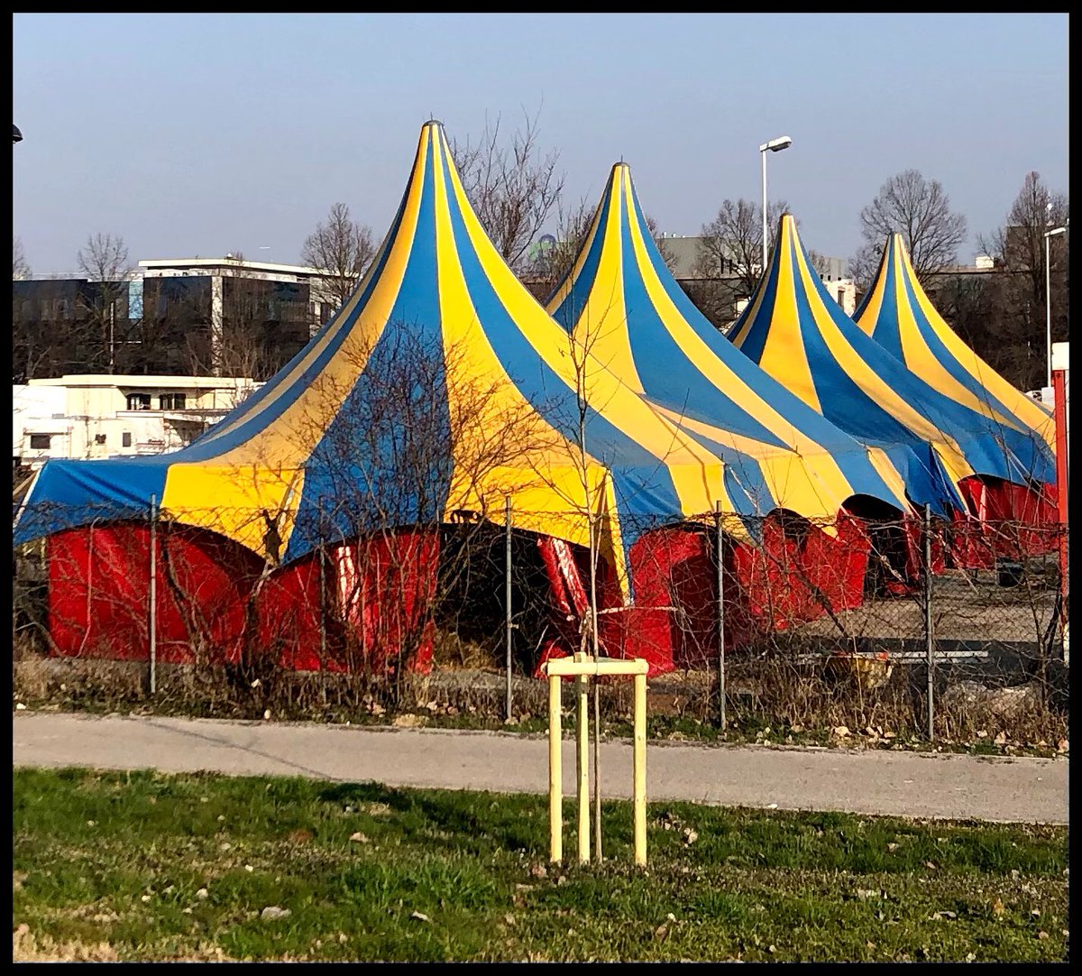 The circus has come to Padua! #StopWarInUkraine #PeaceInUkraine