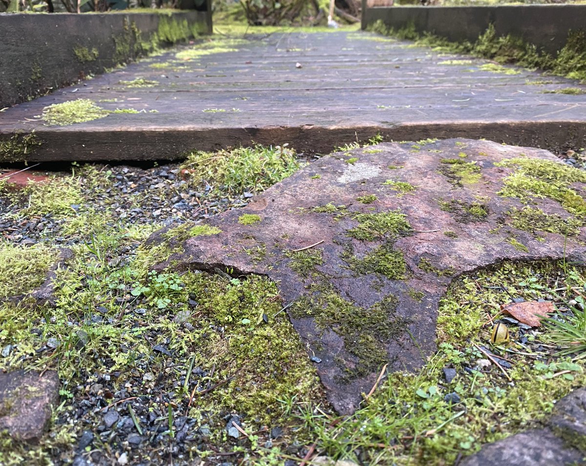 bendotolsen's tweet photo. “What is the essence of your practice?” a follower of Basho asked.
“Whatever is needed.”
#PMZen
#Mindfulness https://t.co/DkW4CuDlPI