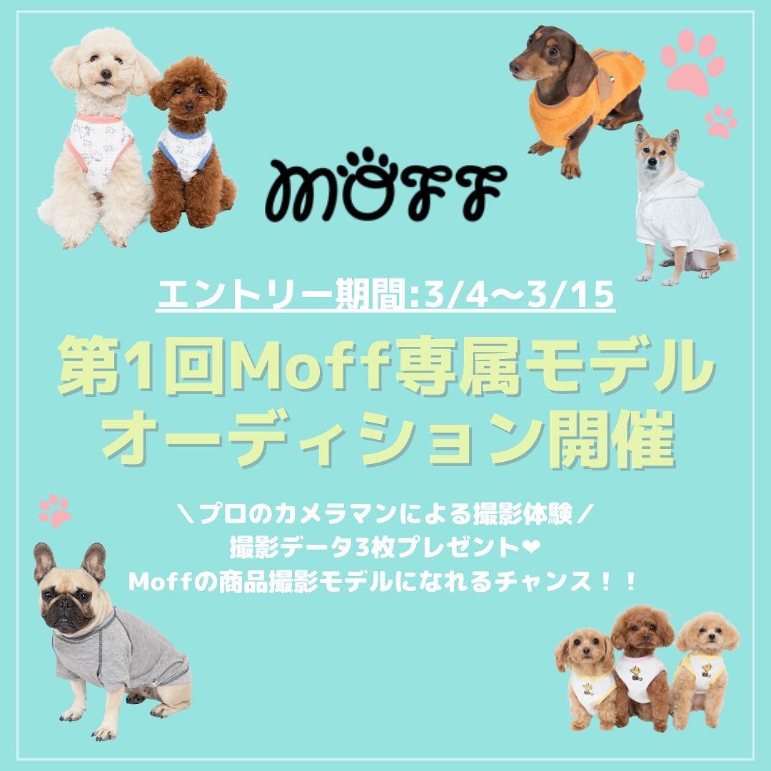 モデル犬募集 Twitter Search Twitter