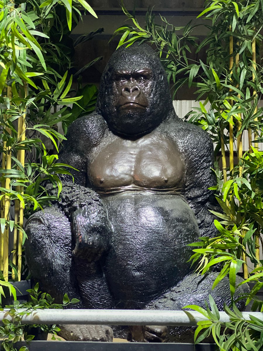 Clark_HoyHCM's tweet photo. Are you thinking about 800lb Gorilla in the room? 

Tackling a global payroll project is something most organizations do once every 5 years.  

Knowing where to start can be tough! Start with a good RFP and you can't go wrong! Here's a free template! https://t.co/oueVlAsNe1 https://t.co/eidd4pLHt8