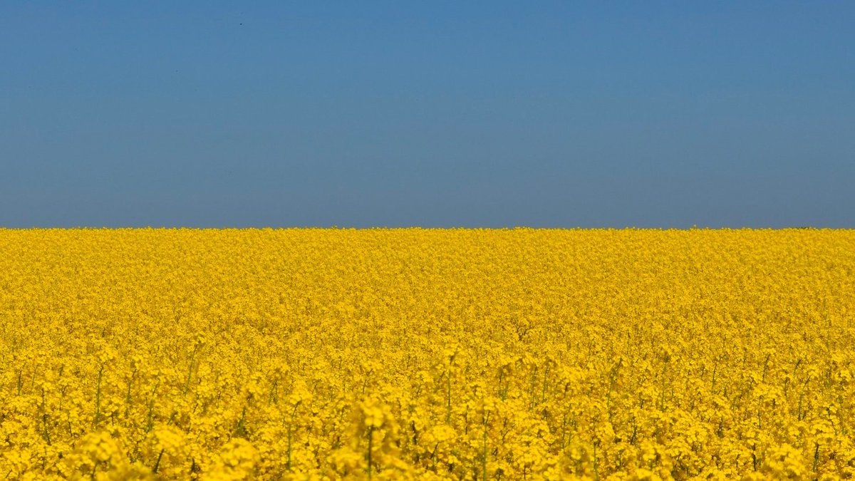 cedr.org/news/ukraine-c… #PeaceInUkraine