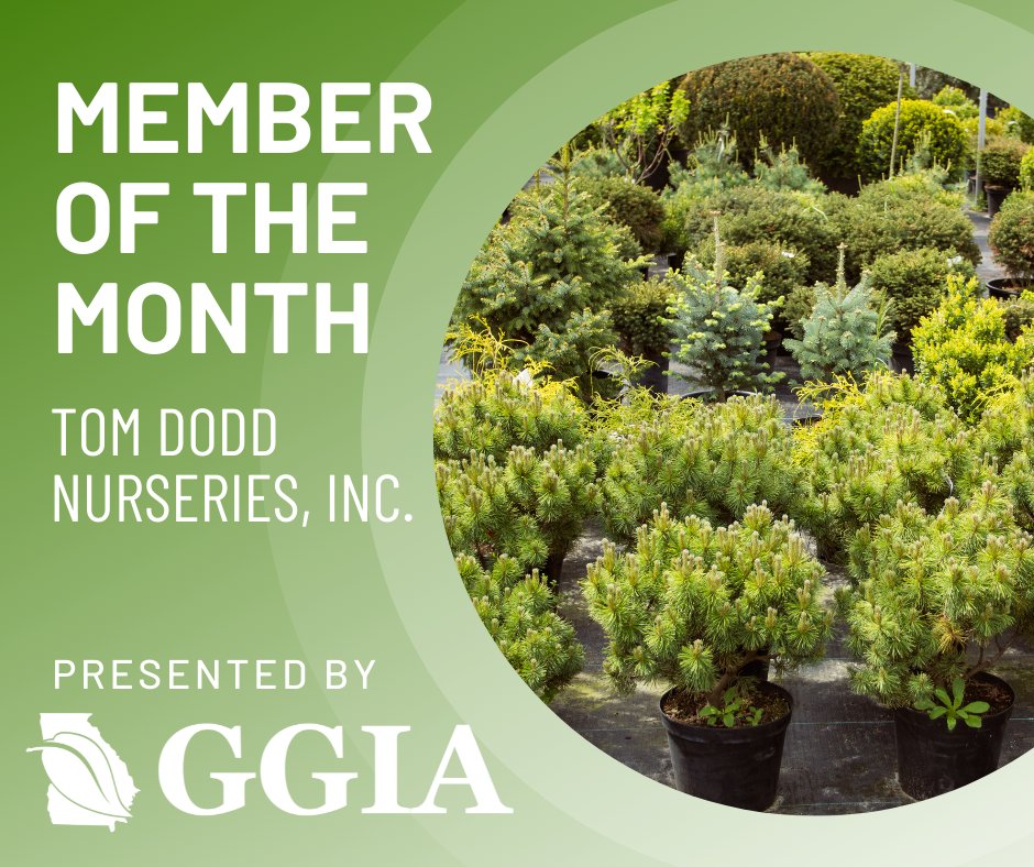 Tom Dodd Nurseries, INC. has been a dedicated member since 1992, THIRTY YEARS!
