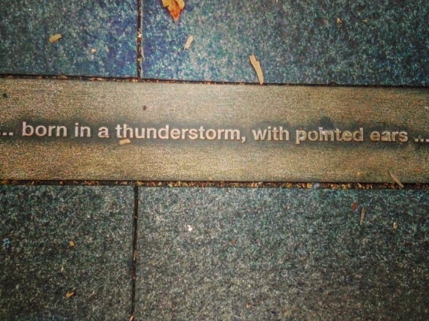 Tassy1971's tweet photo. #thunderstruck https://t.co/QI1nD6KKV9