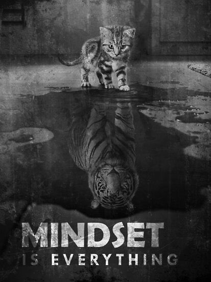 jgross1990's tweet photo. People ask me why my hubby gave me the nickname of ScaryKitten. He says it’s because “I’m as scary as a bag full of kittens” but I like to think it’s because of the quote below 🐅#Bengals #WhoDey https://t.co/ZmhQ5OIm8R