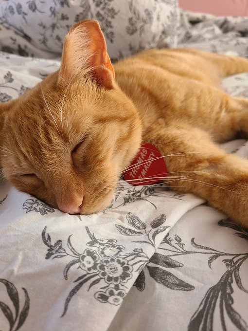 sleepy_boy